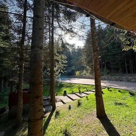 Ялинка Villa Мигово Екстериор снимка