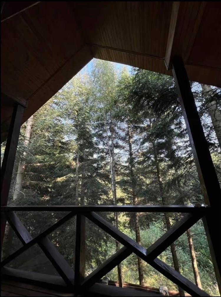 Ялинка Villa Мигово Екстериор снимка