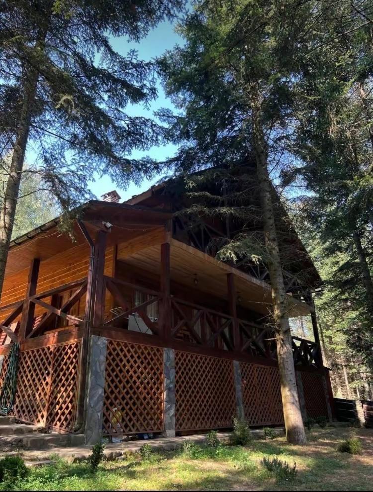 Ялинка Villa Мигово Екстериор снимка