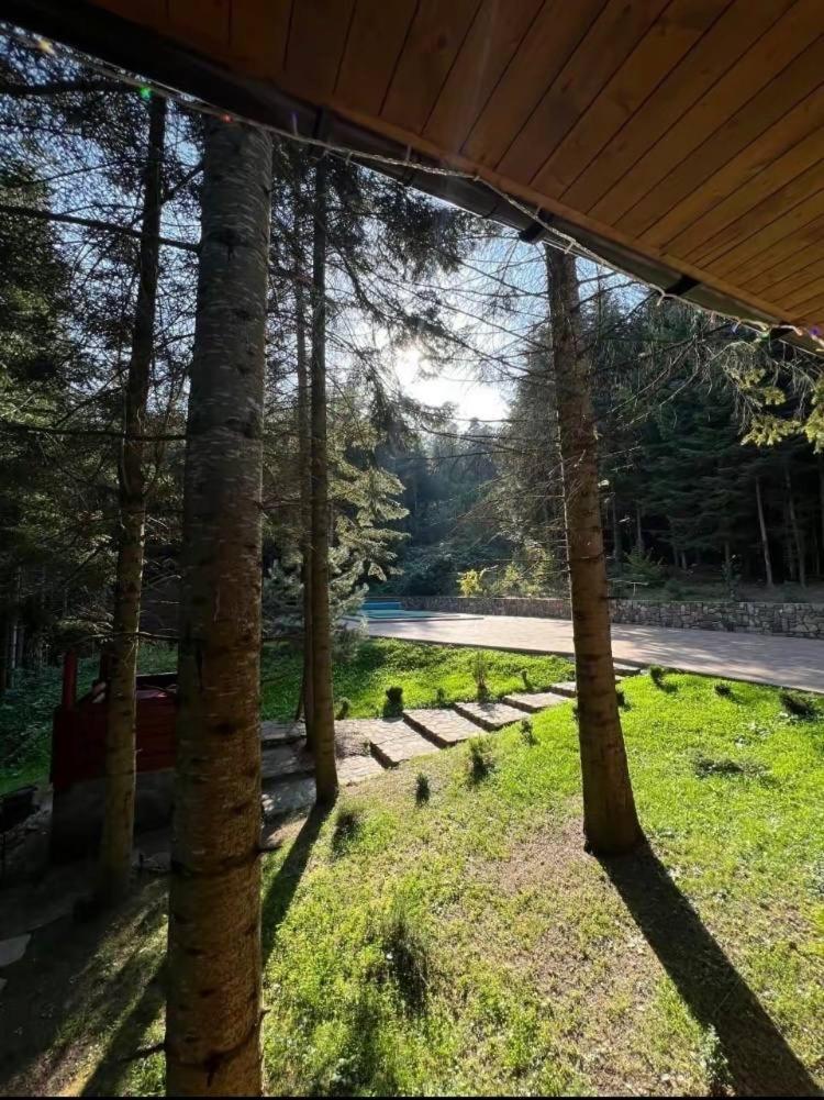 Ялинка Villa Мигово Екстериор снимка